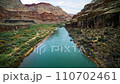 travelling along the Colorado river shore with green and orange wildflowers, towards giant red rock in the Grand Canyon by dusk 110702461