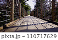 小さな橋を渡る02 110717629