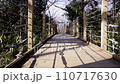 小さな橋を渡る01 110717630