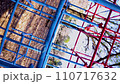 ジャングルジム3Dロール 110717632