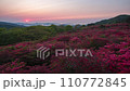 Timelapse of azaleas and sunrise at Tokusenjoyama, Kesennuma City 110772845
