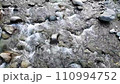 道志川 110994752