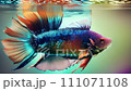 Elegant and colorful ornamental fish 111071108