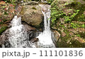 Yakushima waterfall (slow) 111101836