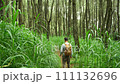 A middle-aged man walking along a forest path tall bright green grass with a backpack. Static shot from behind 111132696