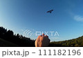 Man steering bird-like kite in nature 1 111182196