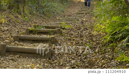 茶色の落ち葉に覆われた登山道を歩く男性の動画素材