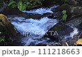 Stream of a stream 111218663