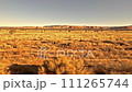 Desert Country.  The view from a train as it crosses desert between Gallup and Grants in New Mexico in the United States of America. 111265744