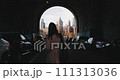 Rear view of stylish brunette female walking under the tunnel towards urban views of New York 111313036
