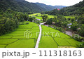 Rice field and homestay farm aerial Shot at Northern Thailand.,Drone aerial view of green rice fields in Thailand at sunrise. 111318163