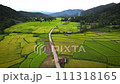 Rice field aerial Shot at Northern Thailand.,Drone aerial view of green rice fields in Thailand at sunrise. 111318165