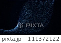 抽象的なデジタルテクノロジーのイメージ。3Dのパーティクル 111372122