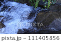 Stream of a stream 111405856