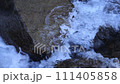 Stream of a stream 111405858