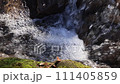Stream of a stream 111405859