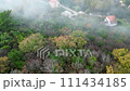 Aerial view: foggy forest, houses, natural landscape 111434185