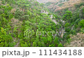 Mountain forest with lush green tree cover, natural landscape 111434188