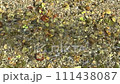 A stream of sparkling clear water 111438087