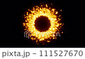 火環 111527670