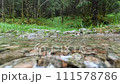 Hiking in the rain in Norway, splashing water from a small stream, puddle 111578786