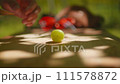cutting grapes on the farm 111578872