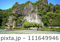 Yabakei, Oita Prefecture Nemophila field 111649946