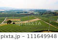 Aerial drone shot of Yame Chuo Tea Garden 111649948