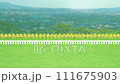競馬タイトルバック・アニメーション（芝・菜の花） 111675903
