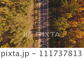 Aerial view of cars on road through forest in autumn, drone point of view 111737813