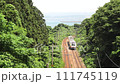 Limited Express Shirayuki runs on the Shinetsu Main Line with the Sea of Japan at its back 111745119