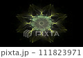 Abstract design made of sacred symbols signs geometry and designs on the subject of astrology alchemy magic 111823971