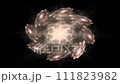 Monochrome abstract mandala sacred geometry, seed flower of life lotus isolated. 111823982