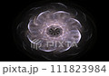 Monochrome abstract mandala sacred geometry, seed flower of life lotus isolated. 111823984