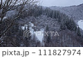 Spruce forest covered with white snow Misty winter Carpathian Mountains view landscape. Snowy pine fir trees with fog in the Carpathians. Scenic wood landscape Village in Transcarpathia Ukraine Europe 111827974