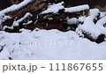 It's snowing 111867655