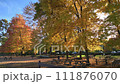 美國密西根州公園裡的秋樹 111876070