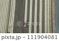 自動操舵システム搭載トラクターによる高精度耕運作業の空撮 111904081