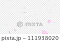 櫻花，落櫻，花瓣，櫻花 111938020