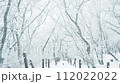 Slow Motion Landscape of Snow Covered Trees in Sobaeksan National Park. 112022022