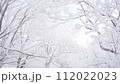 Slow Motion Landscape of Snow Covered Trees in Sobaeksan National Park. 112022023