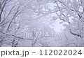 Slow Motion Landscape of Snow Covered Trees in Sobaeksan National Park. 112022024