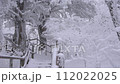 Slow Motion Landscape of Snow Covered Trees in Sobaeksan National Park. 112022025