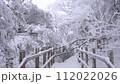 Slow Motion Landscape of Snow Covered Trees in Sobaeksan National Park. 112022026