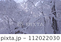 Slow Motion Landscape of Snow Covered Trees in Sobaeksan National Park. 112022030