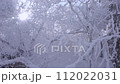 Slow Motion Landscape of Snow Covered Trees in Sobaeksan National Park. 112022031