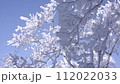 Slow Motion Landscape of Snow Covered Trees in Sobaeksan National Park. 112022033