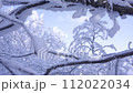 Slow Motion Landscape of Snow Covered Trees in Sobaeksan National Park. 112022034