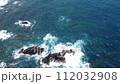 【4K空撮ドローン】高知県 足摺岬 海 【4K空撮ドローン】高知県 足摺岬 海 112032908