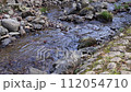 Flow of stream 112054710
